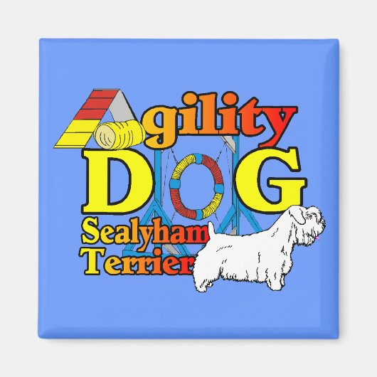 Sealyham_Terrier_Agility マグネット (正面)