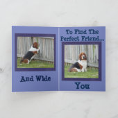 Searching Basset Houndとの友情カード カード (内部)