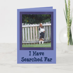 Searching Basset Houndとの友情カード カード
