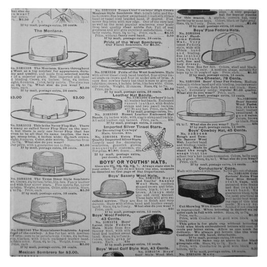 Searsのシカゴのカタログのノロジカからのページの タイル (正面)