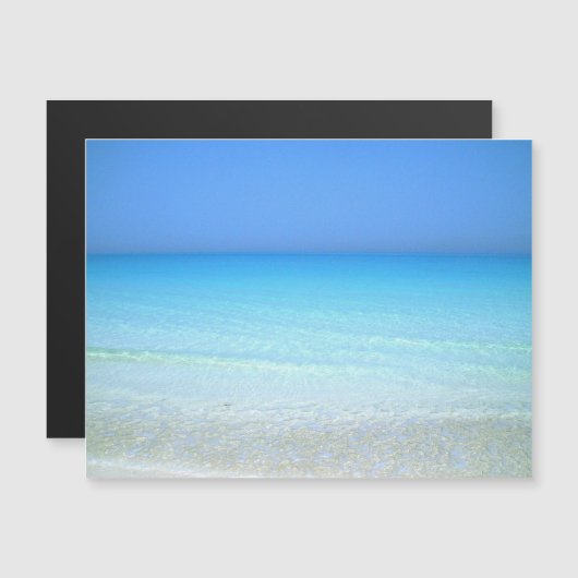 SeaScape (正面/裏面)