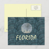 seashelcollage, sanddollar, FLORIDA ポストカード (正面/裏面)