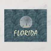 seashelcollage, sanddollar, FLORIDA ポストカード (正面)