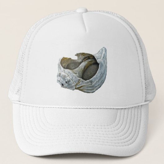 Seashell – 背カスタマイズ景の色を選択 キャップ (正面)