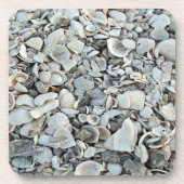 Seashell Drift Coastal Mix コースター (正面)