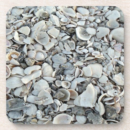 Seashell Drift Coastal Mix コースター (正面)