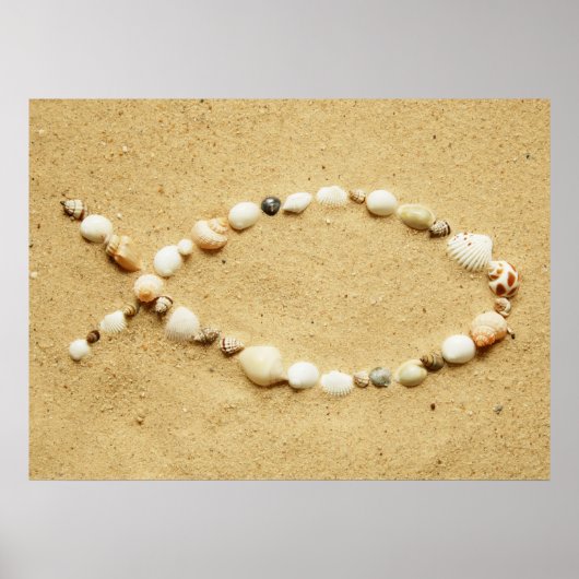 Seashell Ichthysのポスター ポスター (正面)