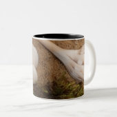 Seashell Mug ツートーンマグカップ (正面右)