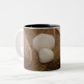 Seashell Mug ツートーンマグカップ (正面左)