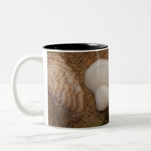 Seashell Mug ツートーンマグカップ (左)