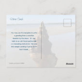 Seashell Photography Horse Conch Wild Florida ポストカード (裏面)