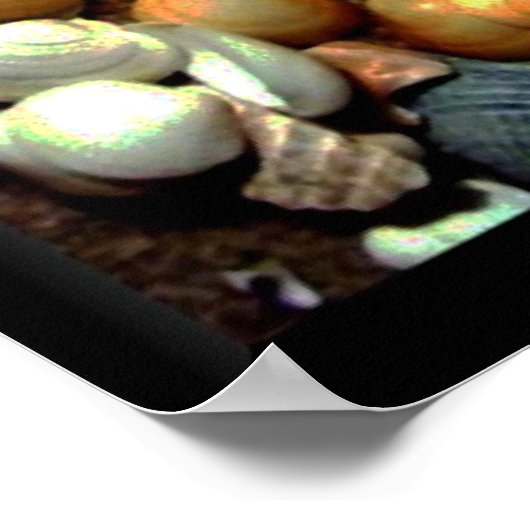 Seashell_ Poster_by Elenneブース ポスター (角)
