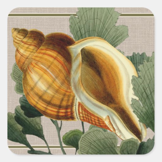 Seashell Vintage Beach Square Sticker スクエアシール (正面)