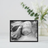 seashell white sand bw rsvp (スタンド正面)