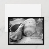 seashell white sand bw rsvp (正面/裏面)