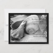 seashell white sand bw rsvp (正面)