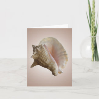 Seashelllのメッセージカード カード
