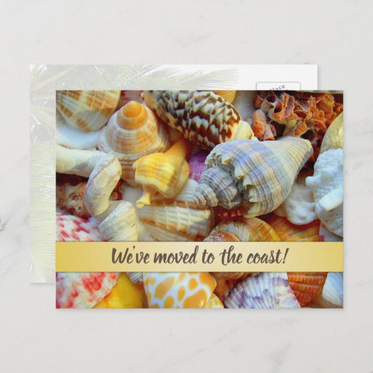 Seashellsかわいらし Coastal New Addressの発表 ポストカード (正面/裏面)