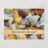 Seashellsかわいらし Coastal New Addressの発表 ポストカード (正面)