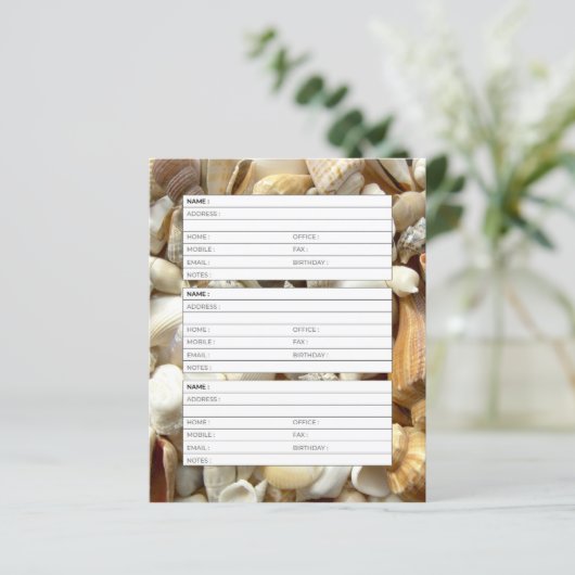 Seashellsのアドレス帳ページ (スタンド正面)