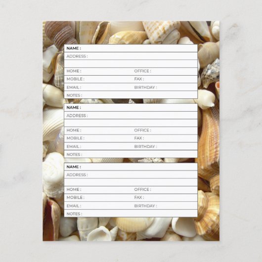 Seashellsのアドレス帳ページ (裏面)