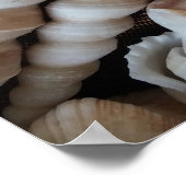 Seashellsコレクション,ポスター,自然,夏ビーチ ポスター (角)