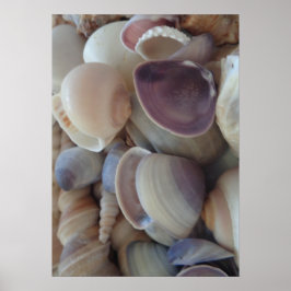 Seashellsコレクション，ポスター，自然，夏ビーチ ポスター