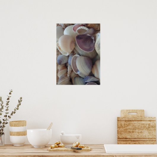 Seashellsコレクション,ポスター,自然,夏ビーチ ポスター (キッチン)