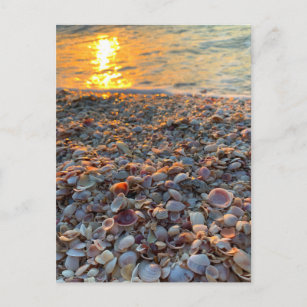 SeashellsビーチサンセットクリアウォーターFlorida写真 ポストカード
