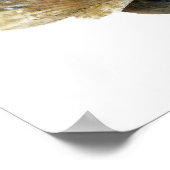 Seashellsファインアート写真ポスター ポスター (角)