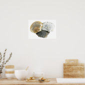 Seashellsファインアート写真ポスター ポスター (キッチン)