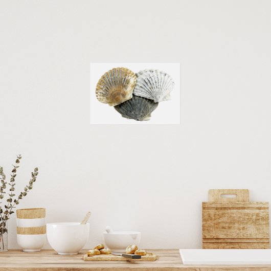 Seashellsファインアート写真ポスター ポスター (キッチン)