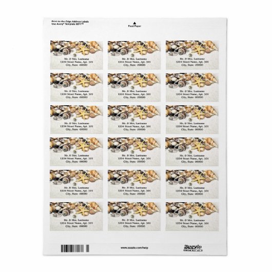 Seashells住所 シール (フルシート)