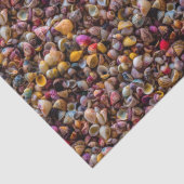 Seashells写真カラフル繰り返しパターン 薄葉紙 (詳細)