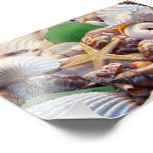 Seashells写真プリント フォトプリント (角)