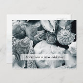 Seashells白黒新住所のお知らせ ポストカード (正面/裏面)