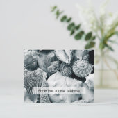 Seashells白黒新住所のお知らせ ポストカード (スタンド正面)