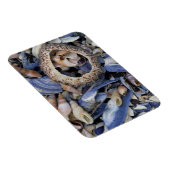 Seashells，ケープタウン，ウエスタンケープ マグネット (右側)