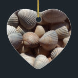 Seashells セラミックオーナメント<br><div class="desc">Seashells, collection</div>