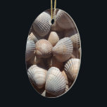 Seashells セラミックオーナメント<br><div class="desc">Seashells, collection</div>