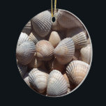 Seashells セラミックオーナメント<br><div class="desc">Seashells, collection</div>