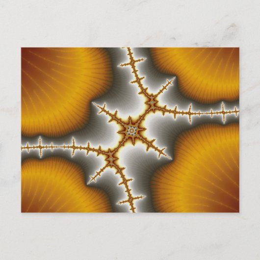 Seashells – フラクタル葉書 ポストカード (正面)