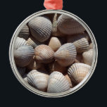 Seashells メタルオーナメント<br><div class="desc">Seashells, collection</div>