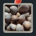 Seashells メタルオーナメント<br><div class="desc">Seashells, collection</div>