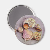 SEASHELLS by SHARON SHARPE マグネット (正面/裏面)