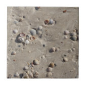 Seashells in the Wet Sand タイル (正面)