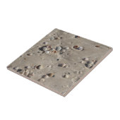 Seashells in the Wet Sand タイル (側面)