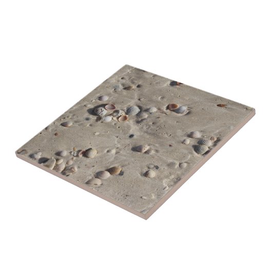 Seashells in the Wet Sand タイル (側面)