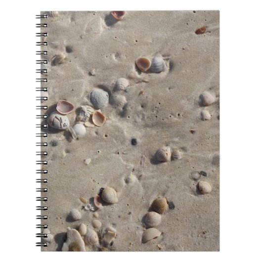 Seashells in the Wet Sand ノートブック (正面)