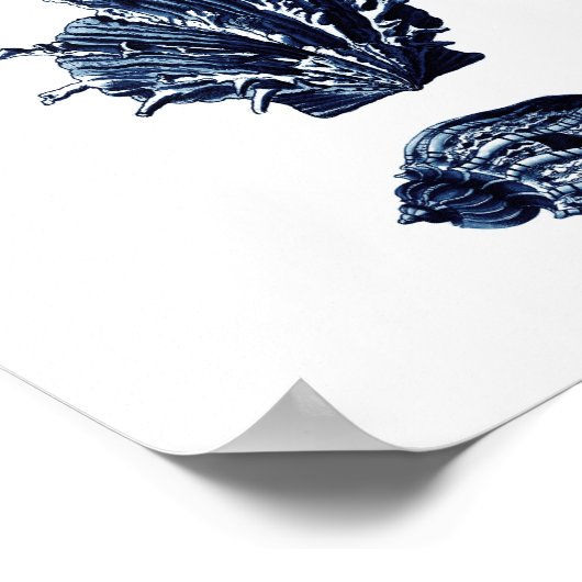 Seashells Navy Blue Decor ポスター (角)